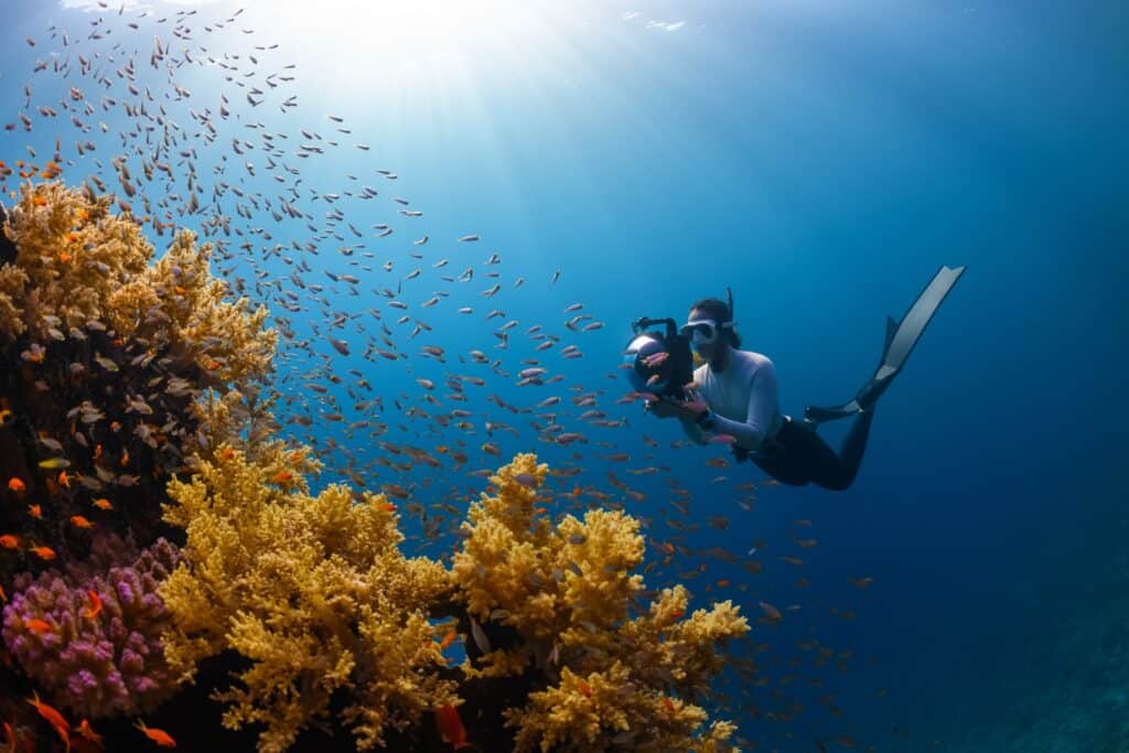 Wie finde ich einen Unterwasserfotograf in der Nähe?